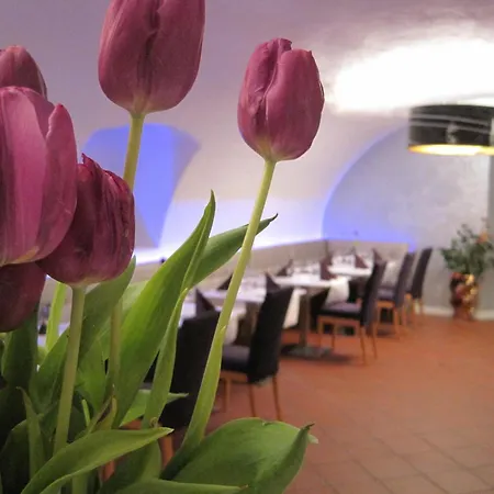 Hotel Lekker 3*