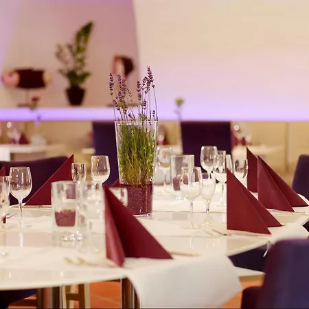 Hotel Lekker 3*