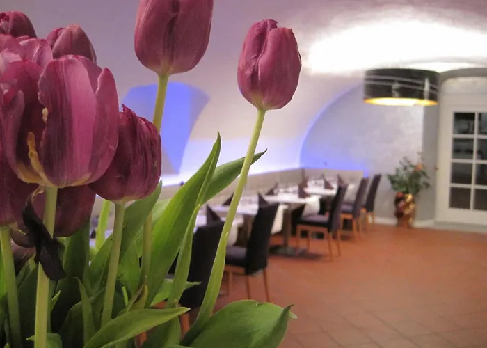 Hotell Hotel Lekker 3*